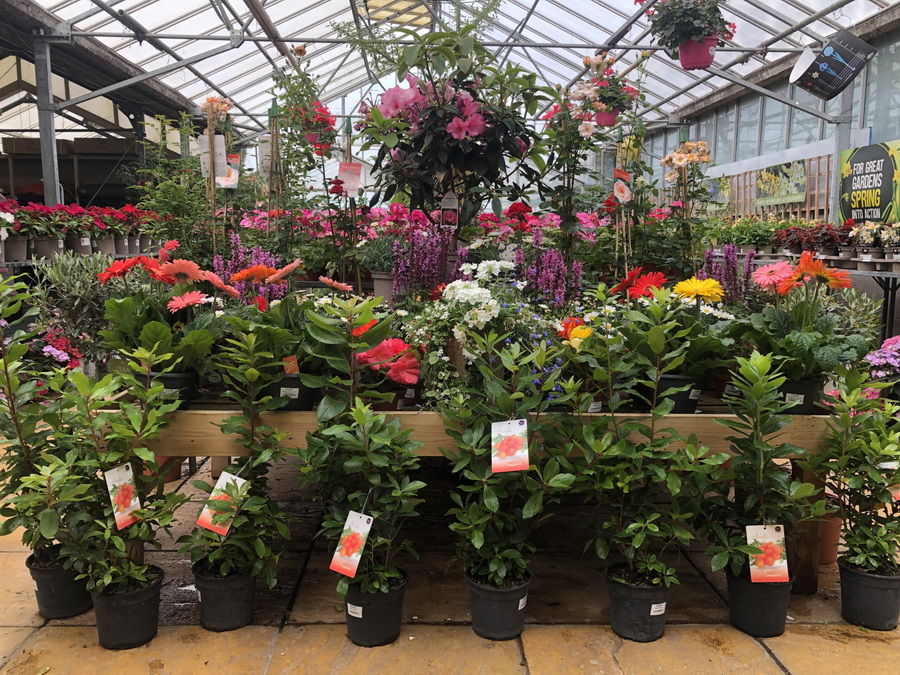 LAMA Carnon Downs Garden Centre Special Trip Lerryn